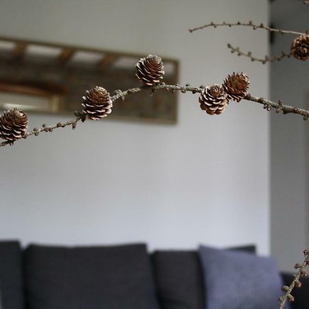 Eguzkilorea أونذاريبيا المظهر الخارجي الصورة